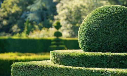 garden-7460988_1280-1024x683